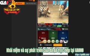 Khái niệm và sự phát triển của đá gà trực tiếp tại GA888